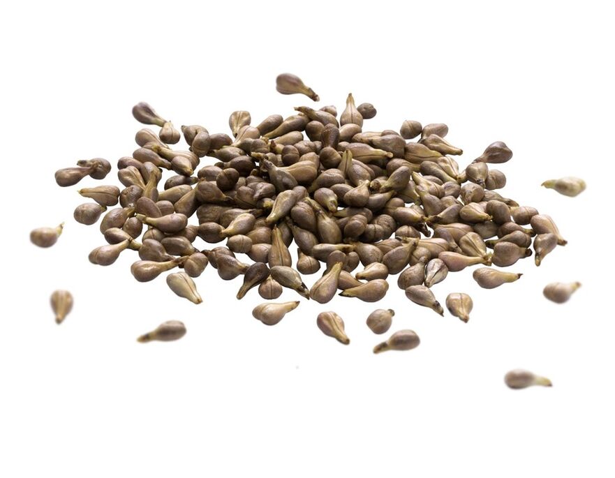 Η κρέμα Varicon περιέχει λάδι σπόρου σταφυλιού